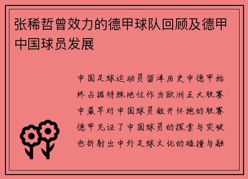 张稀哲曾效力的德甲球队回顾及德甲中国球员发展