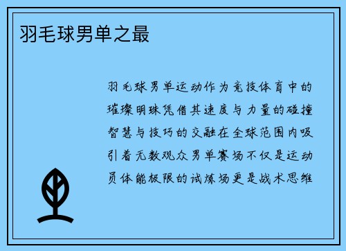 羽毛球男单之最